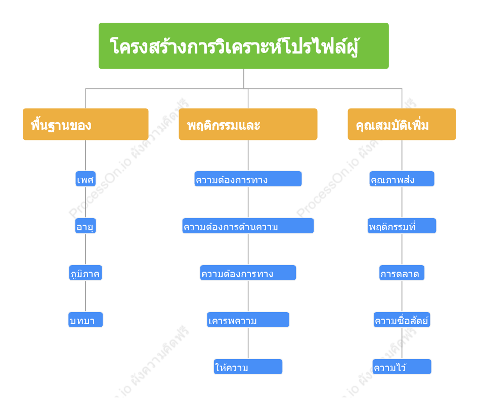 โครงสร้างการวิเคราะห์โปรไฟล์ผู้ใช้
