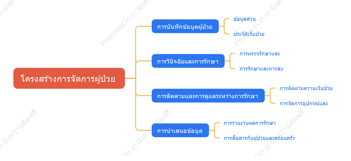 โครงสร้างการจัดการผู้ป่วย