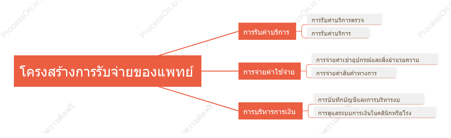 โครงสร้างการรับจ่ายของแพทย์