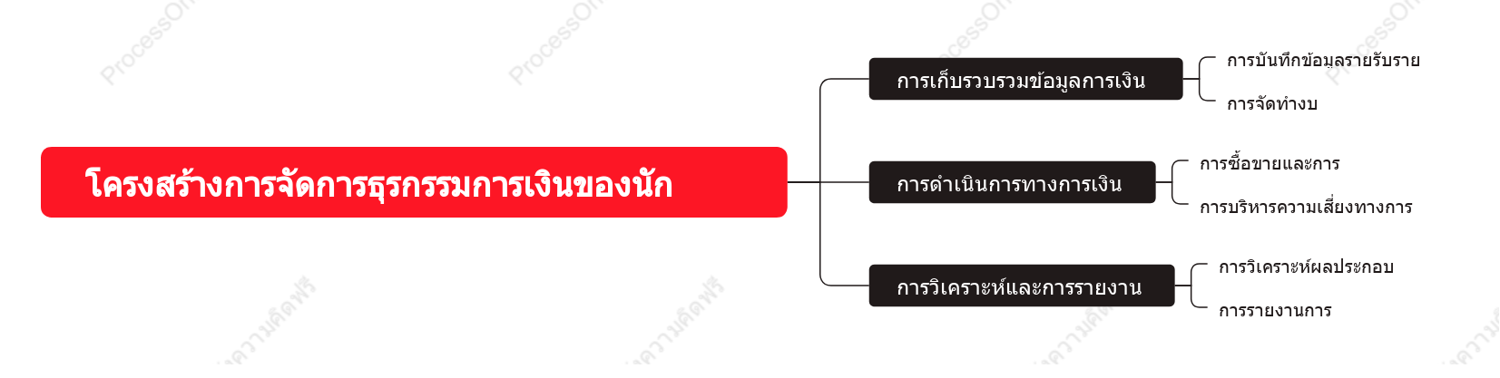 โครงสร้างการจัดการธุรกรรมการเงินของนักธุรกิจ