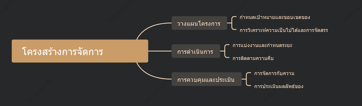 โครงสร้างการจัดการโครงการ