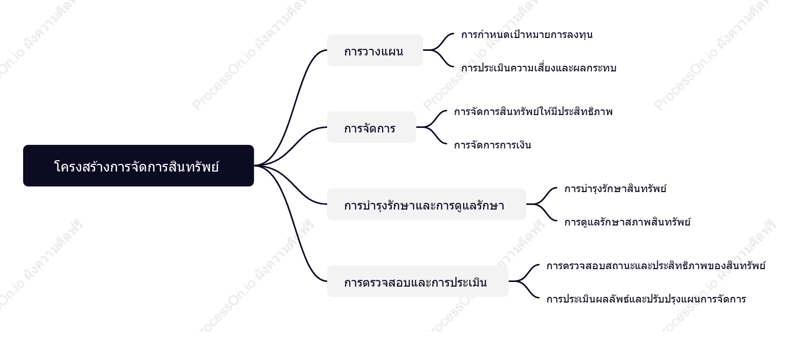 โครงสร้างการจัดการสินทรัพย์