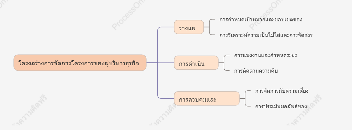 โครงสร้างการจัดการโครงการของผู้บริหารธุรกิจ