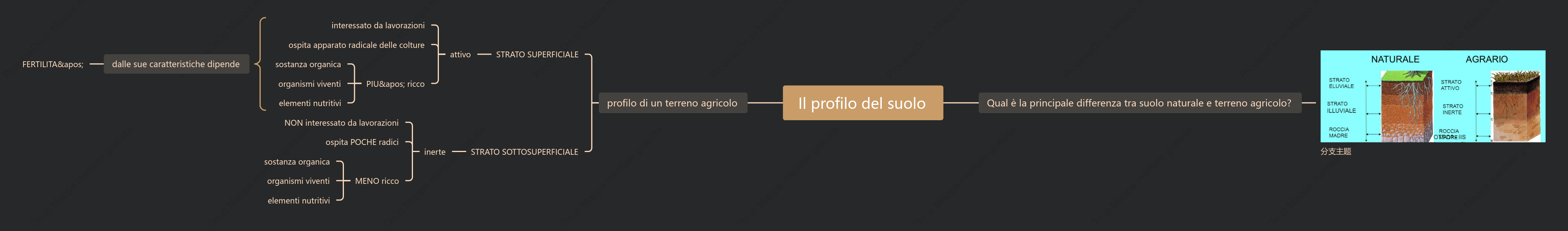 2_TERRENO AGRARIO_Il PROFILO