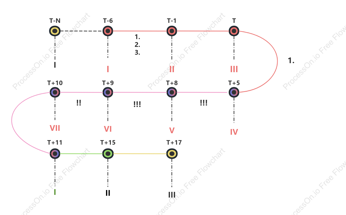 Timeline of project implementation process
