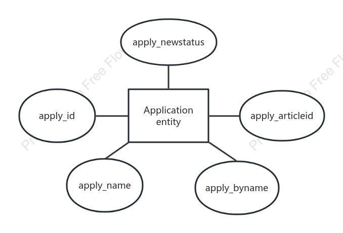 Application Entity ER Diagram