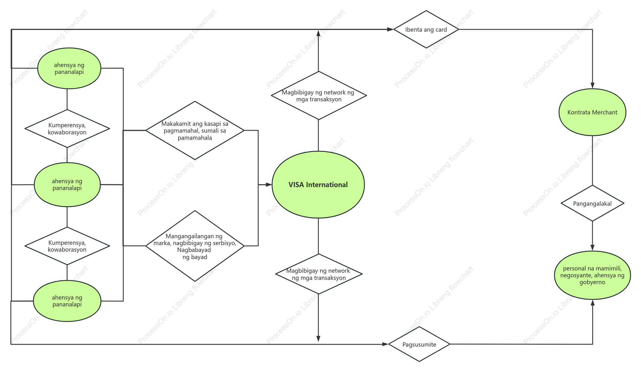 Wei Zhu Business Model—VISA International Business Model