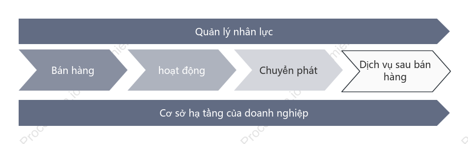 Chuỗi giá trị doanh nghiệp (màu xám)