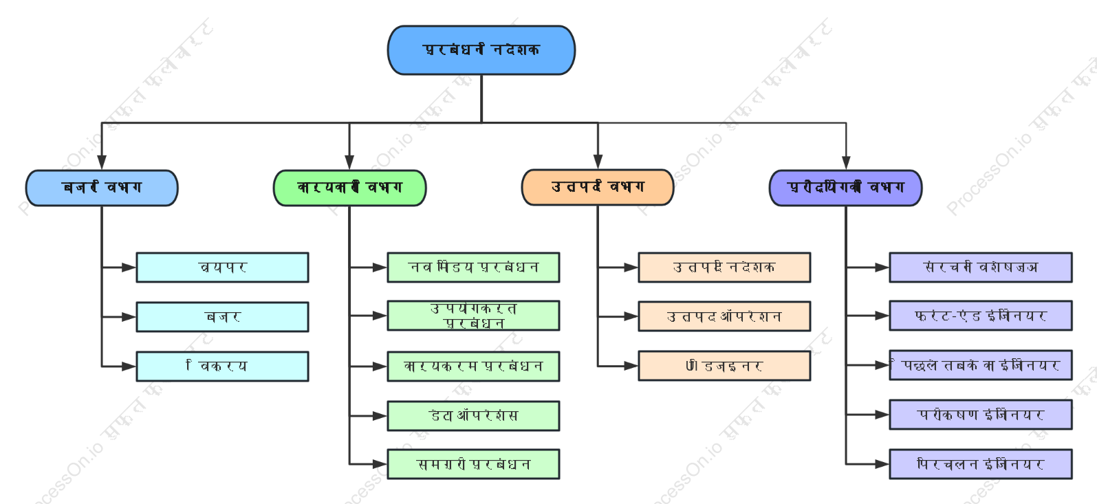 कंपनी का संगठन आरेख (रंगीन)
