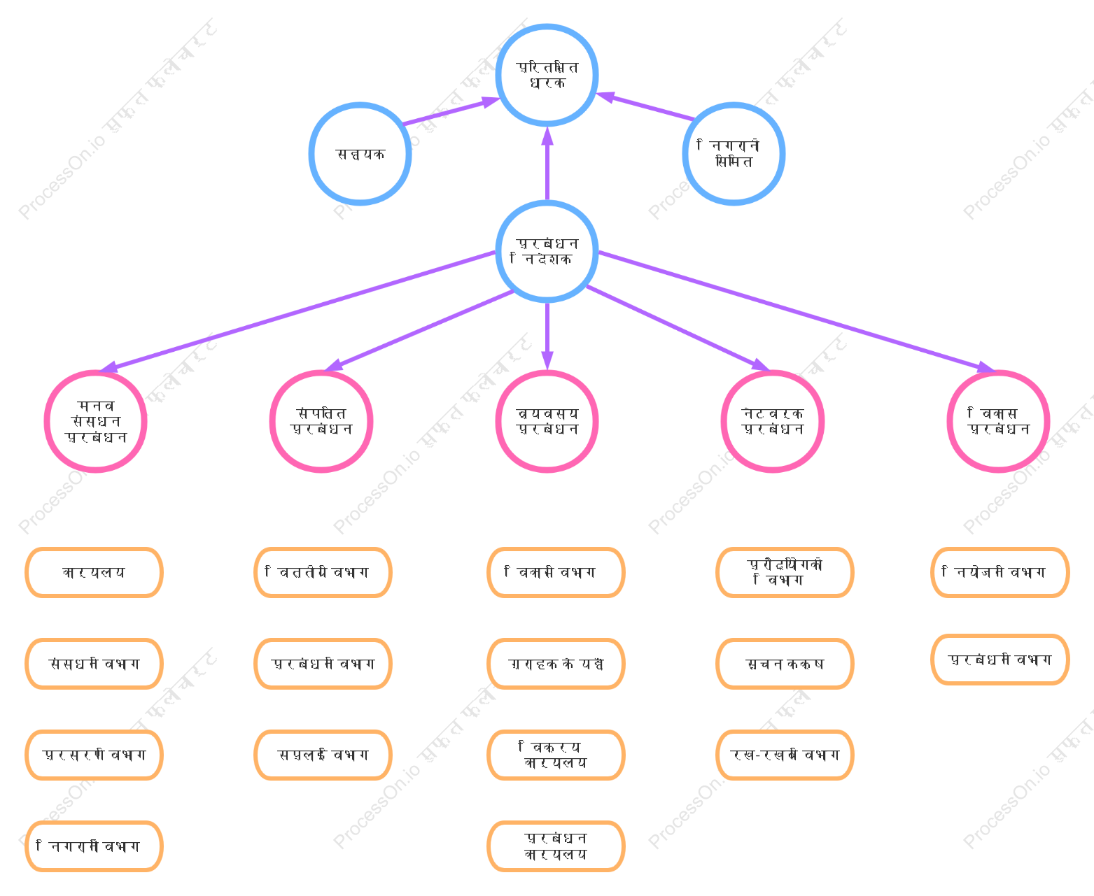 कंपनी का संगठन संरचना
