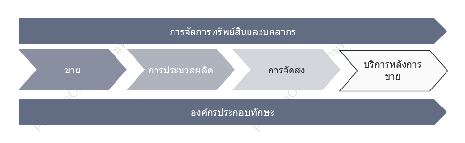 ห่วงโซ่คุณค่าระดับองค์กร (สีเทา)