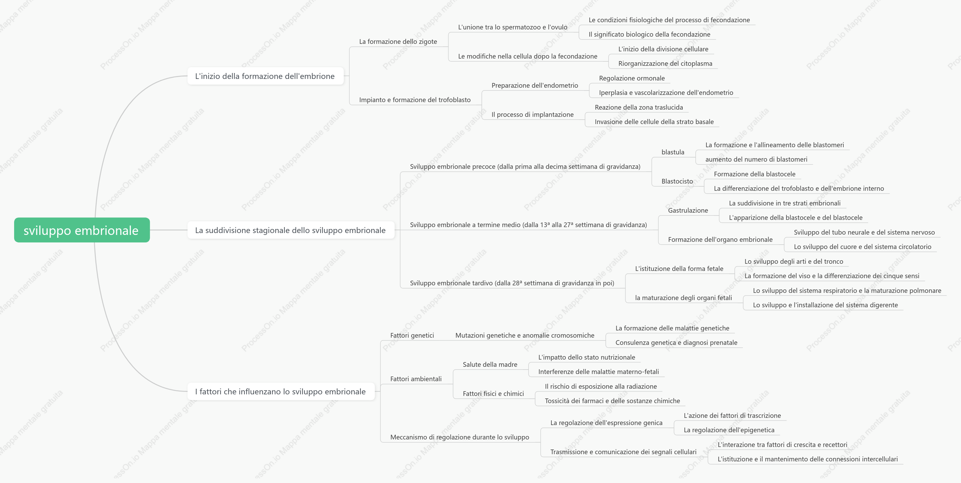 processo di sviluppo embrionale umano