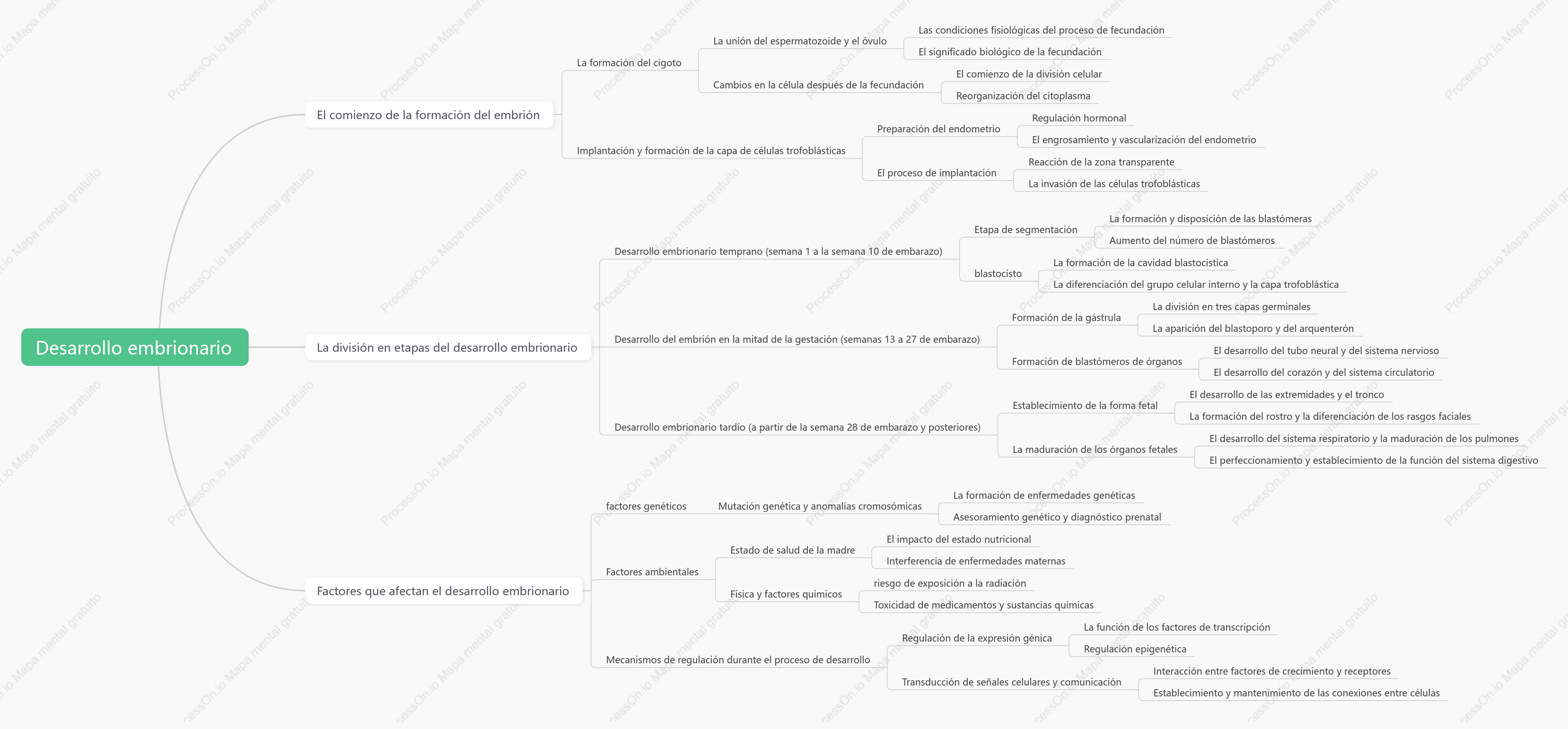 proceso de desarrollo embrionario humano