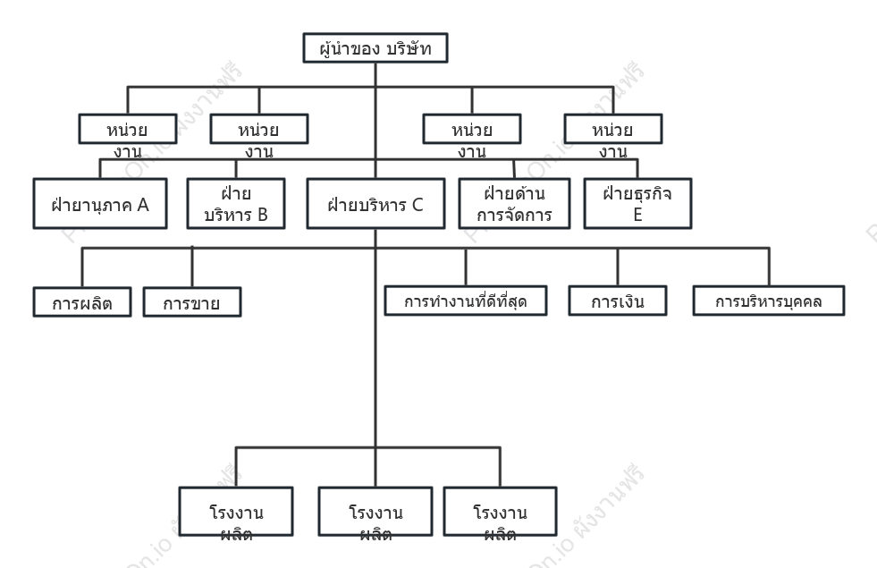 โครงสร้างองค์กร
