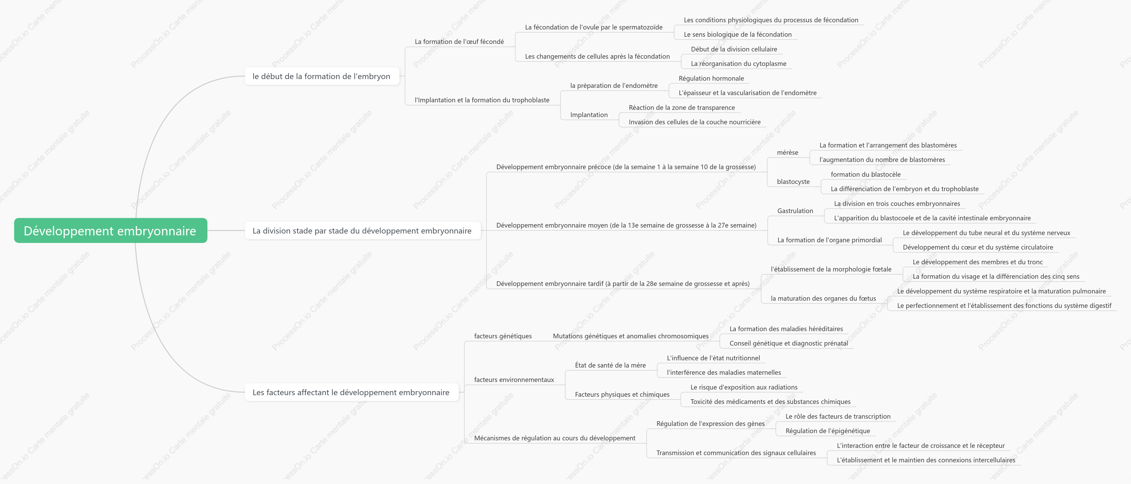 processus de développement embryonnaire humain