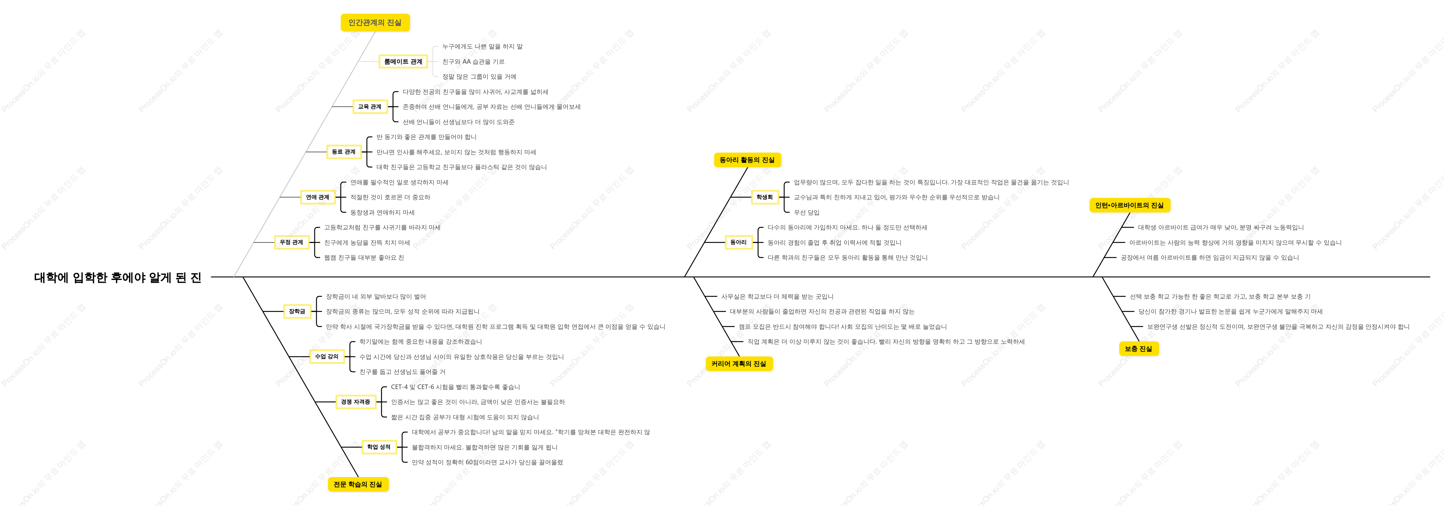 대학에 가기 전까지는 몰랐던 진실