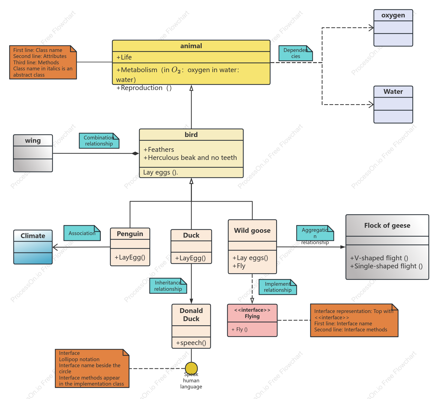 Animal UML Class Diagram