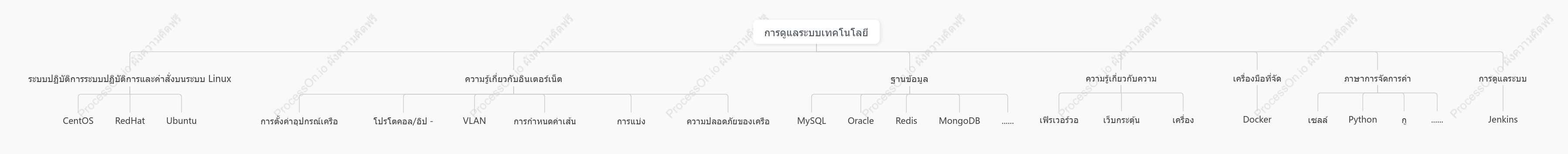 แผนผังทักษะการดำเนินงานและการบำรุงรักษา
