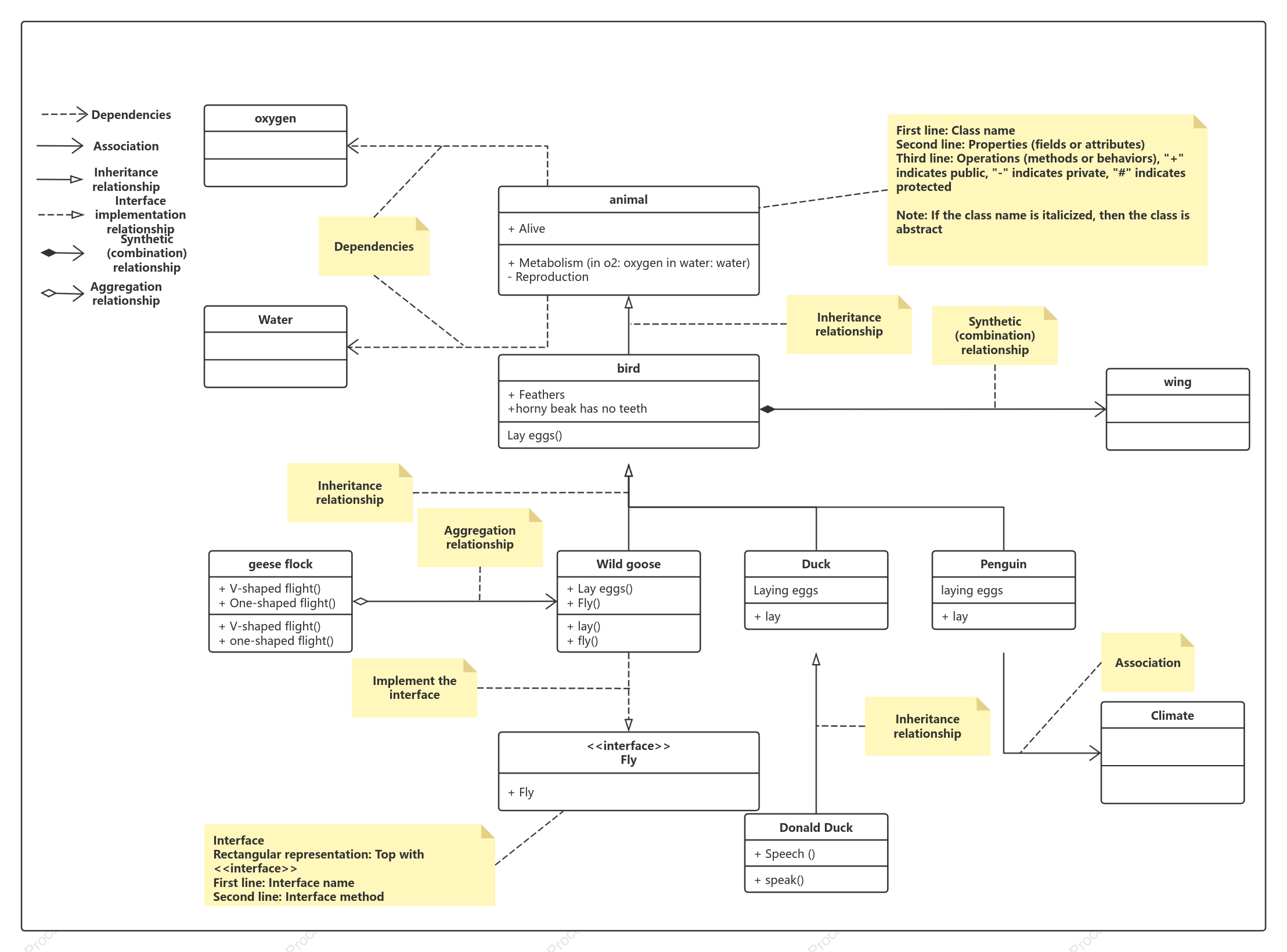 Learn various relationships with a UML class diagram
