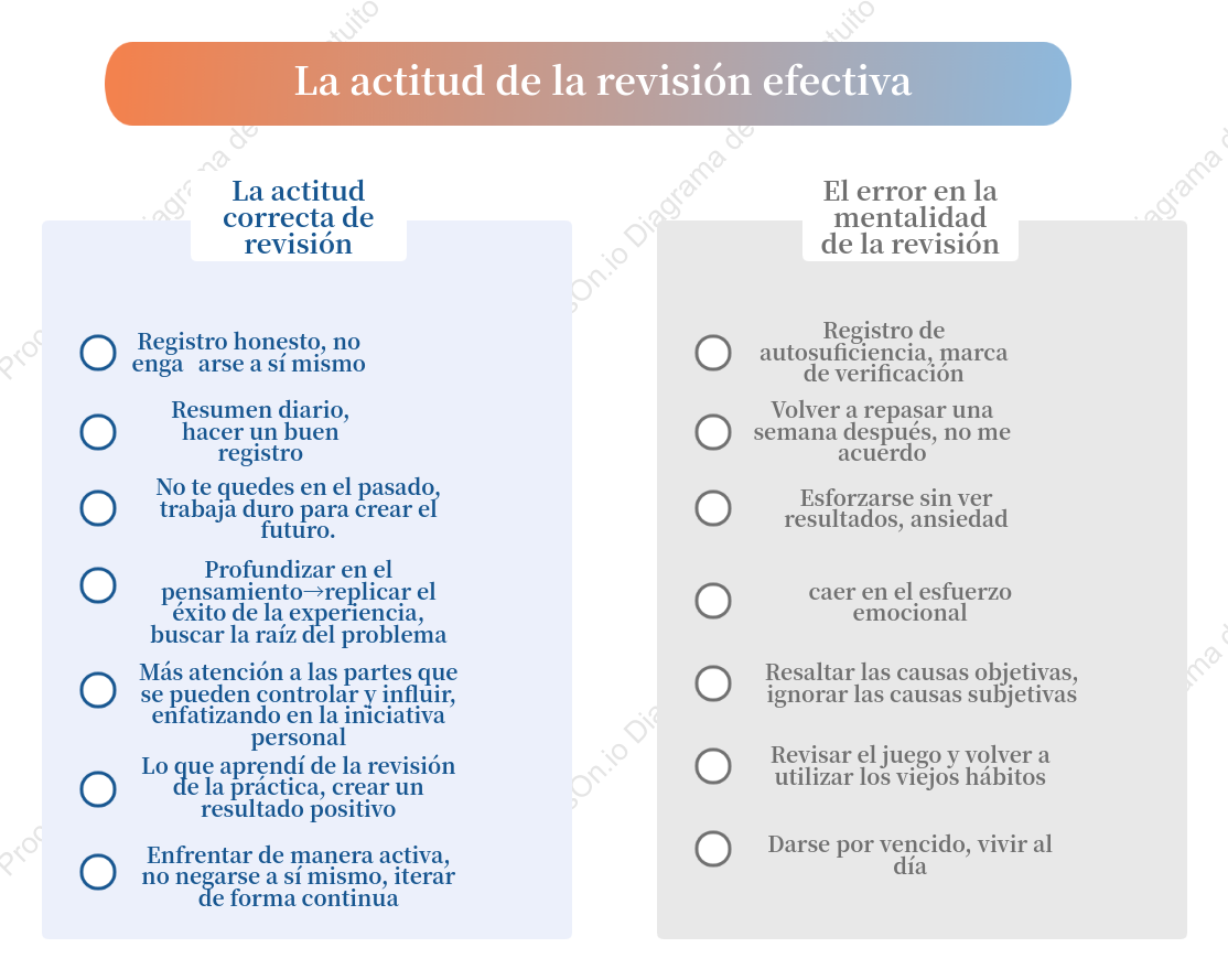Revisión efectiva