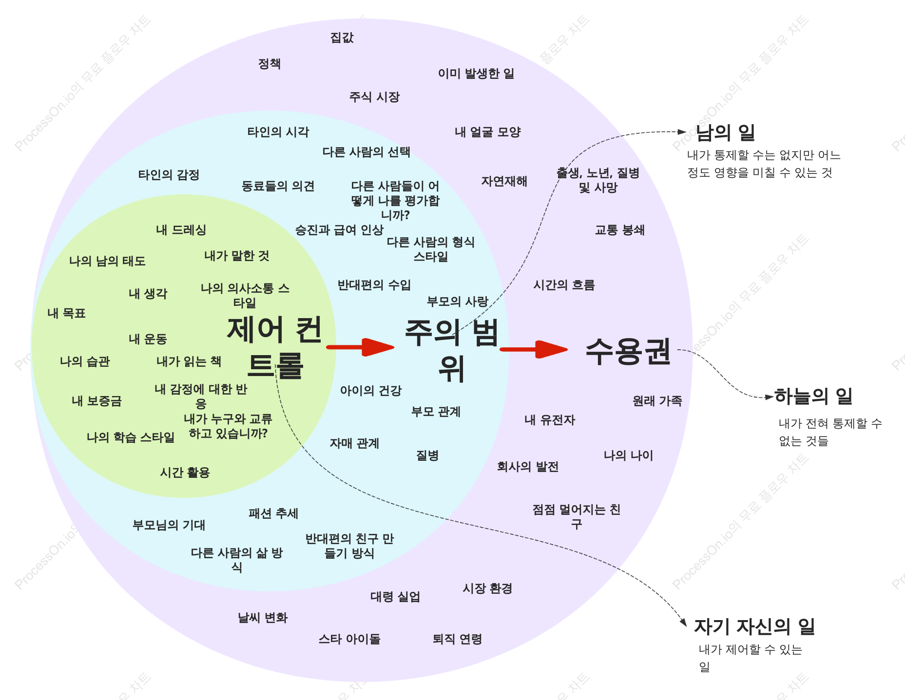 양파의 생명 조절 모델