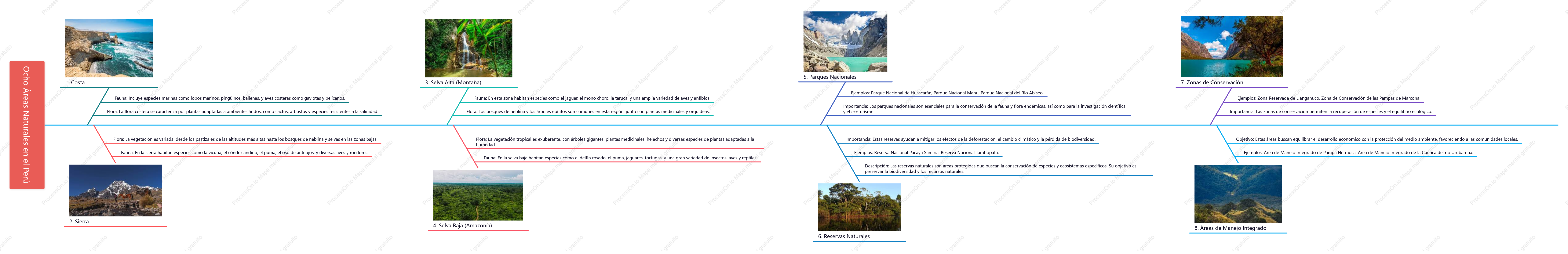 Mapa mental de las ocho regiones naturales del peru