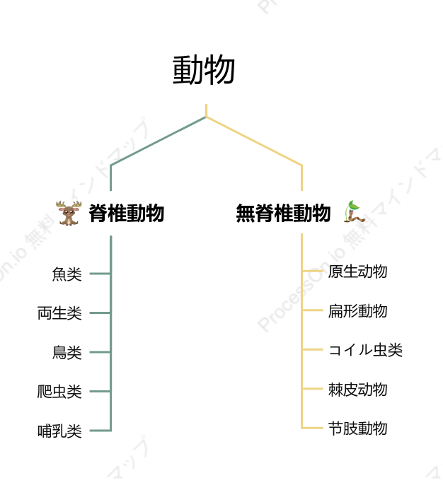 動物の分類樹形図 - 生物学的階層を探る