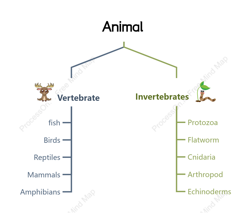 Animal Classification Tree Diagram – Explore the Biological Hierarchy