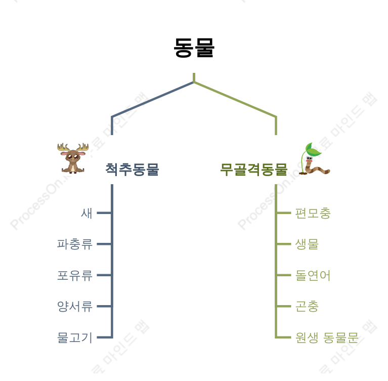 동물 분류 체계 트리 도표