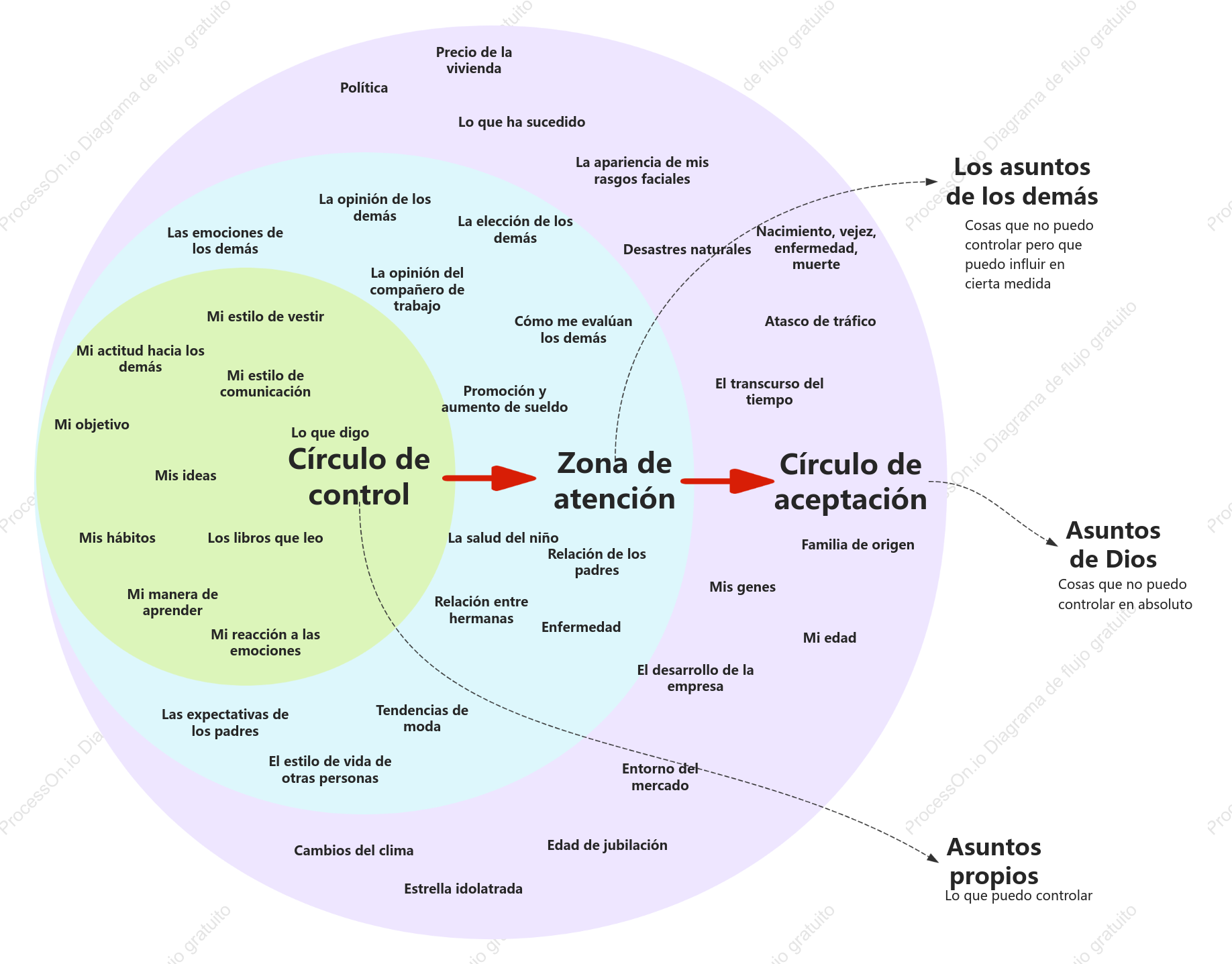 Cuadro de cebolla para el control de la vida