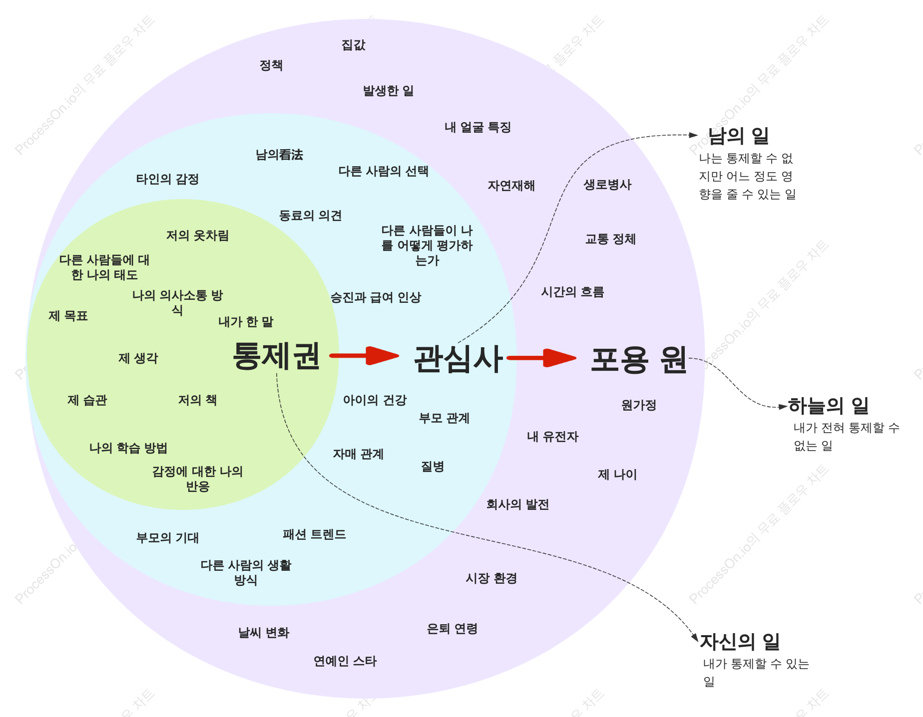 라이프 컨트롤 양파 차트