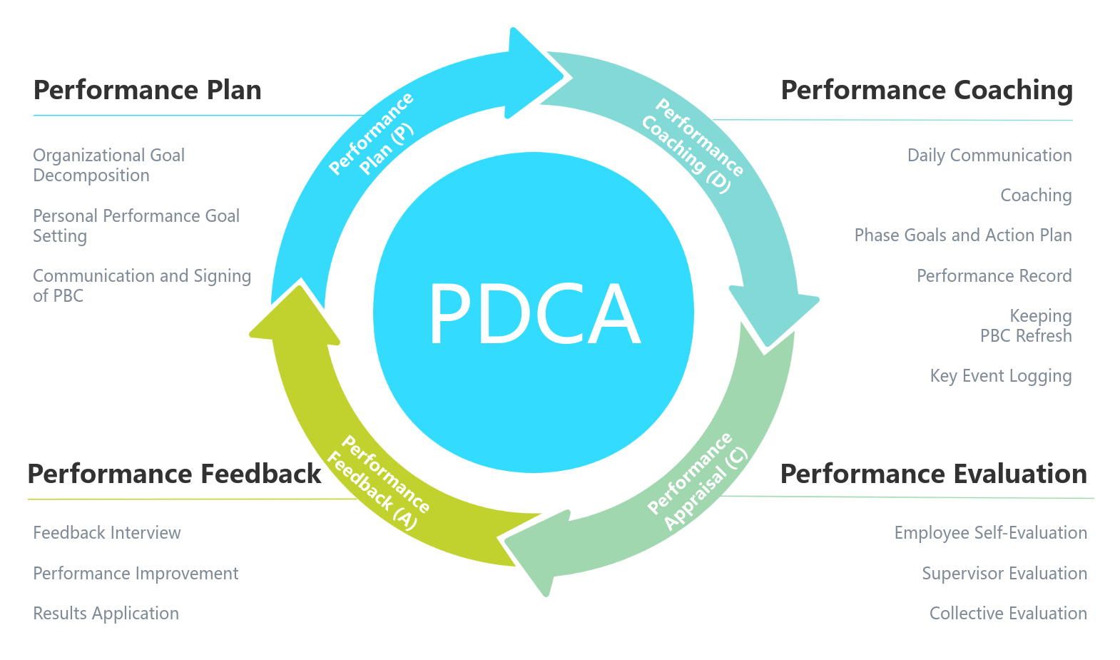 Performance Management Process Circle Diagram