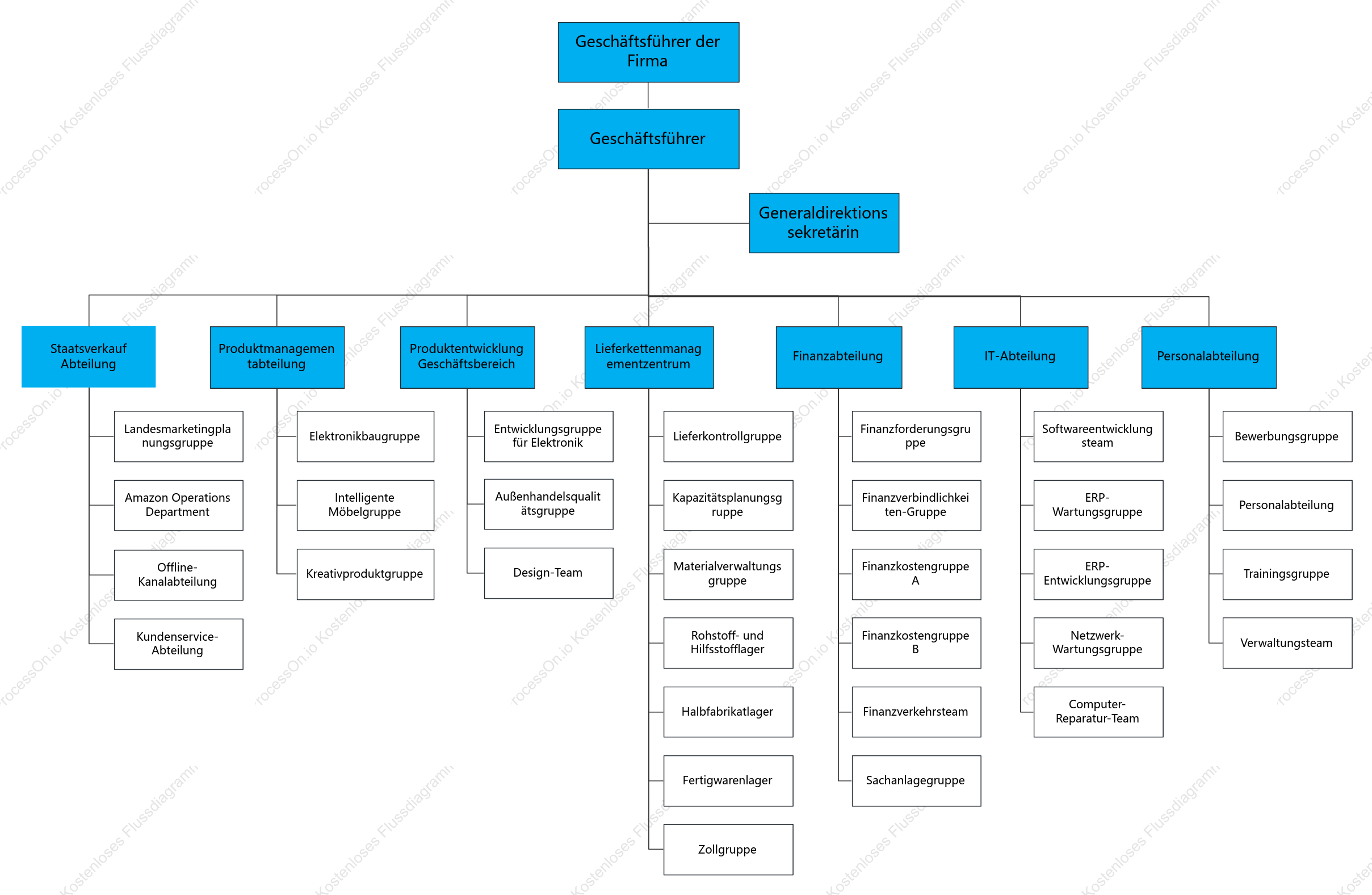 Organisationsstruktur eines E-Commerce-Unternehmens
