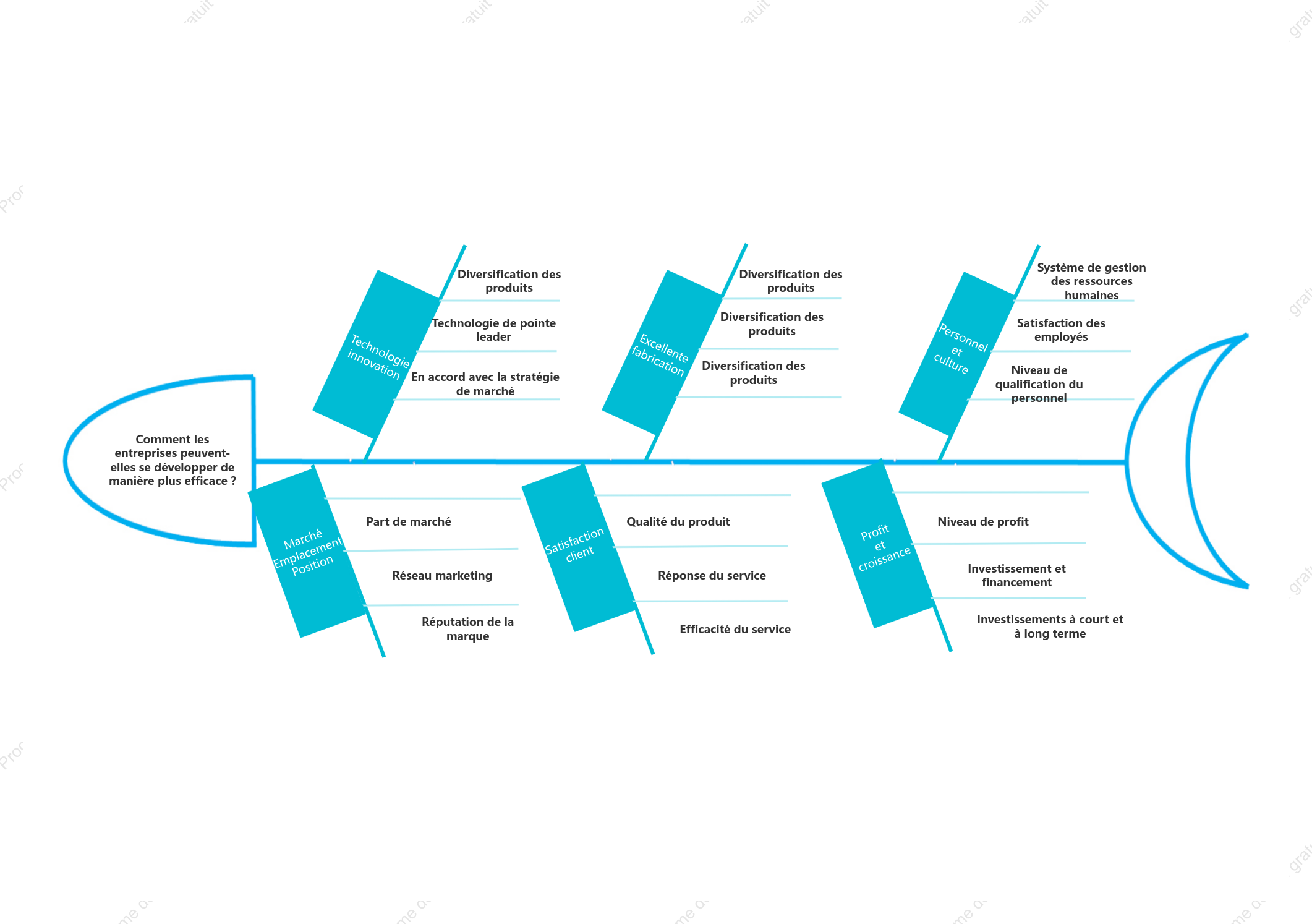 Diagramme en arête de poisson de l'analyse du développement de l'entreprise