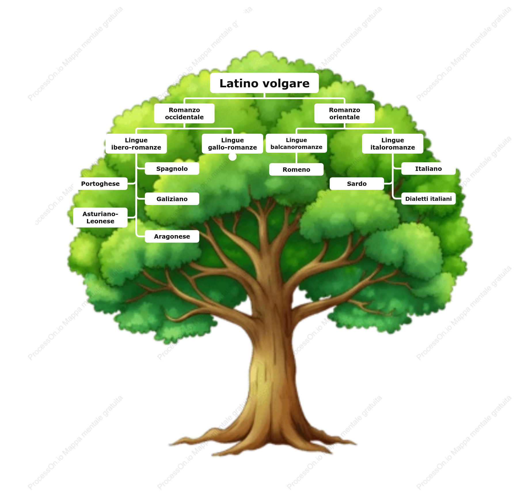 Albero Genealogico delle Lingue Romanze: Dalle Origini Latine alle Lingue Europee Moderne