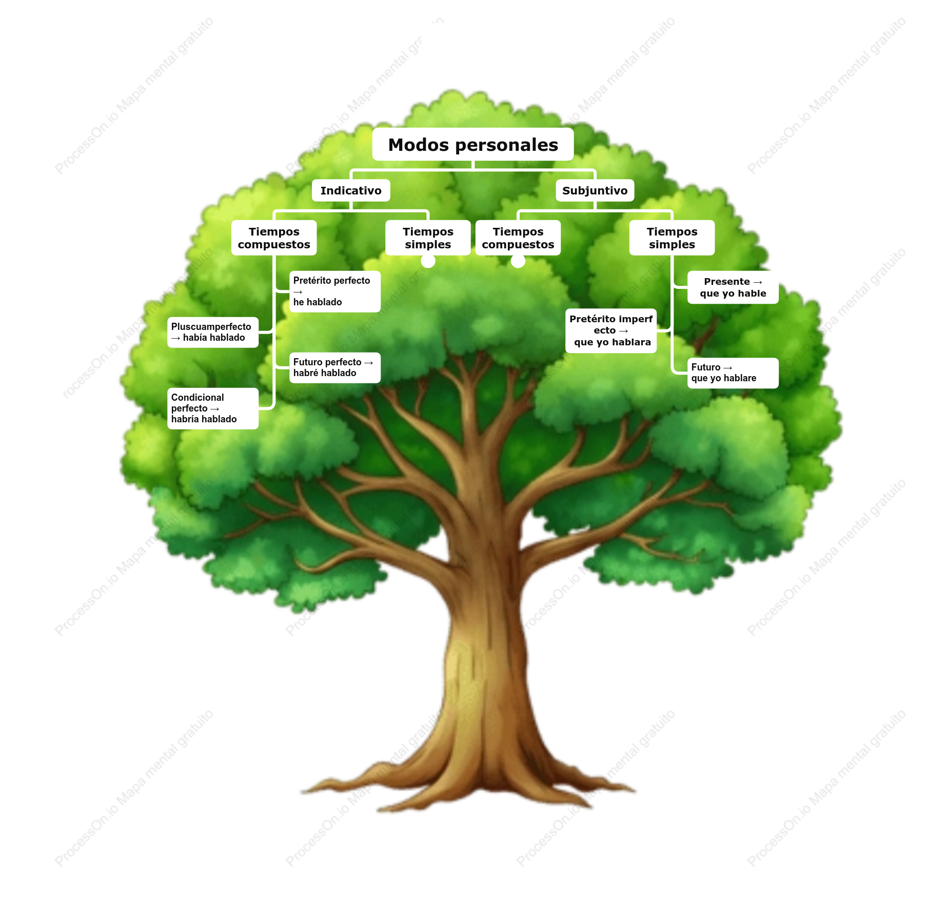 Árbol de Palabras del Español: Modos Personales del Verbo Explicados Visualmente