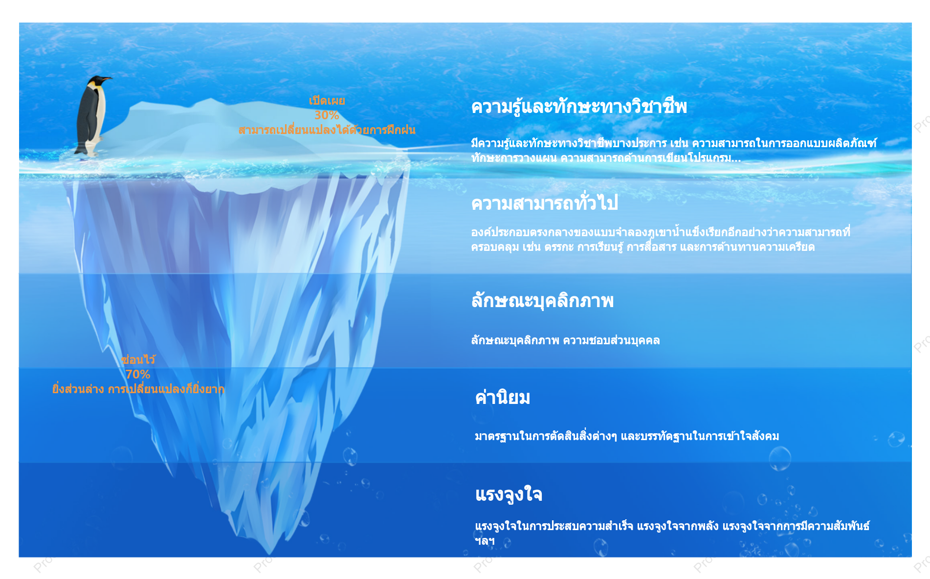 แบบจำลองภูเขาน้ำแข็งระบบคุณภาพ