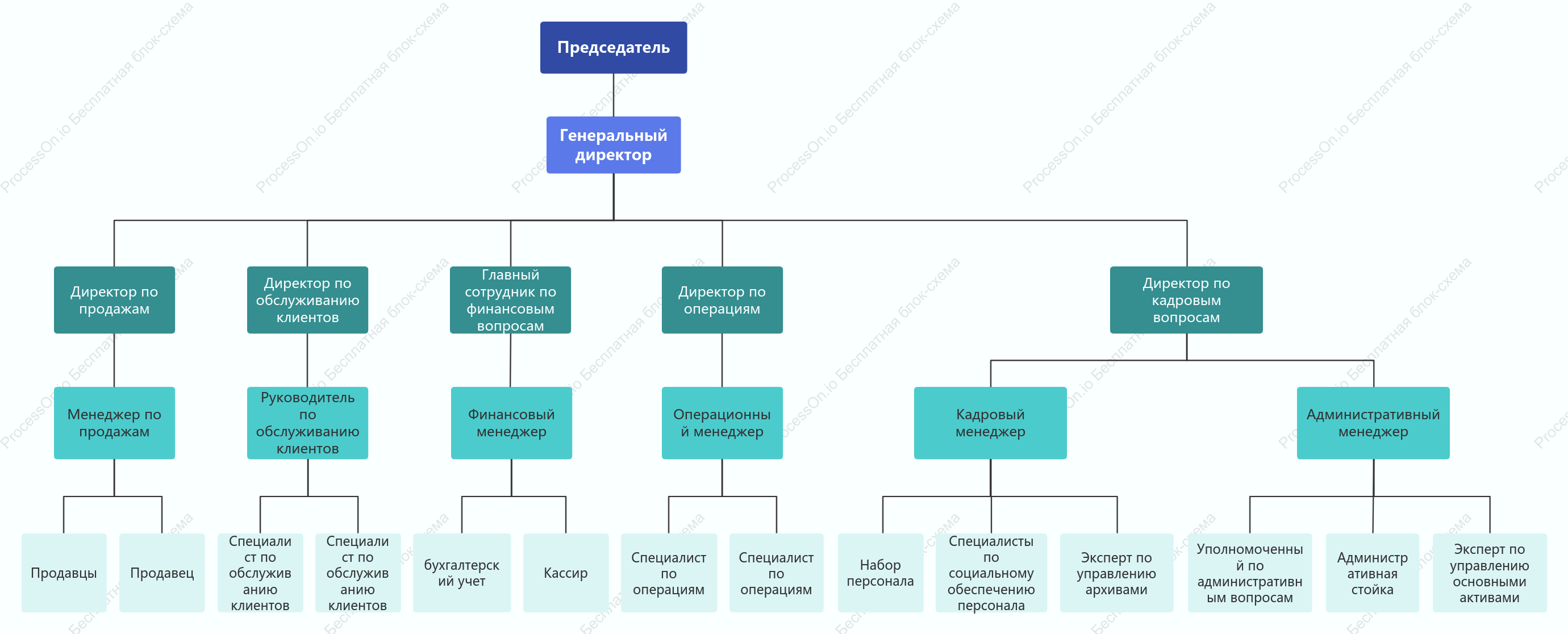 Функциональная организационная структура