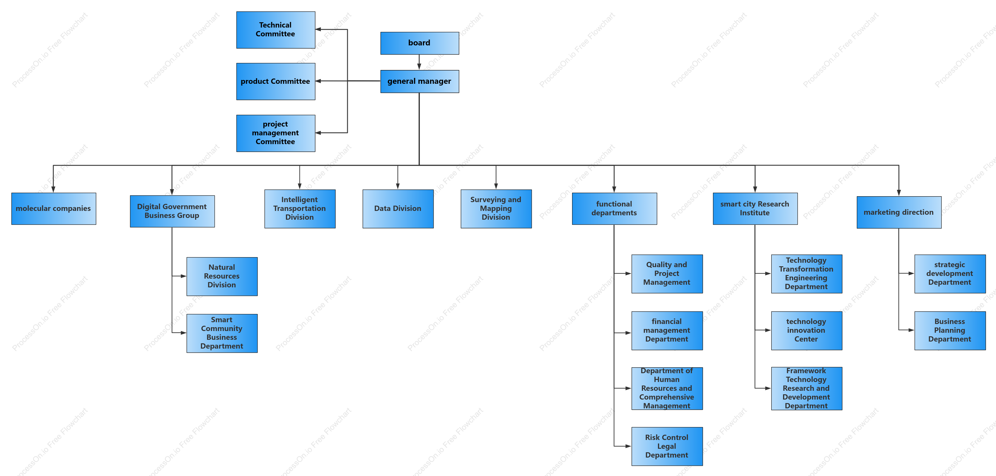 Divisional organizational structure chart