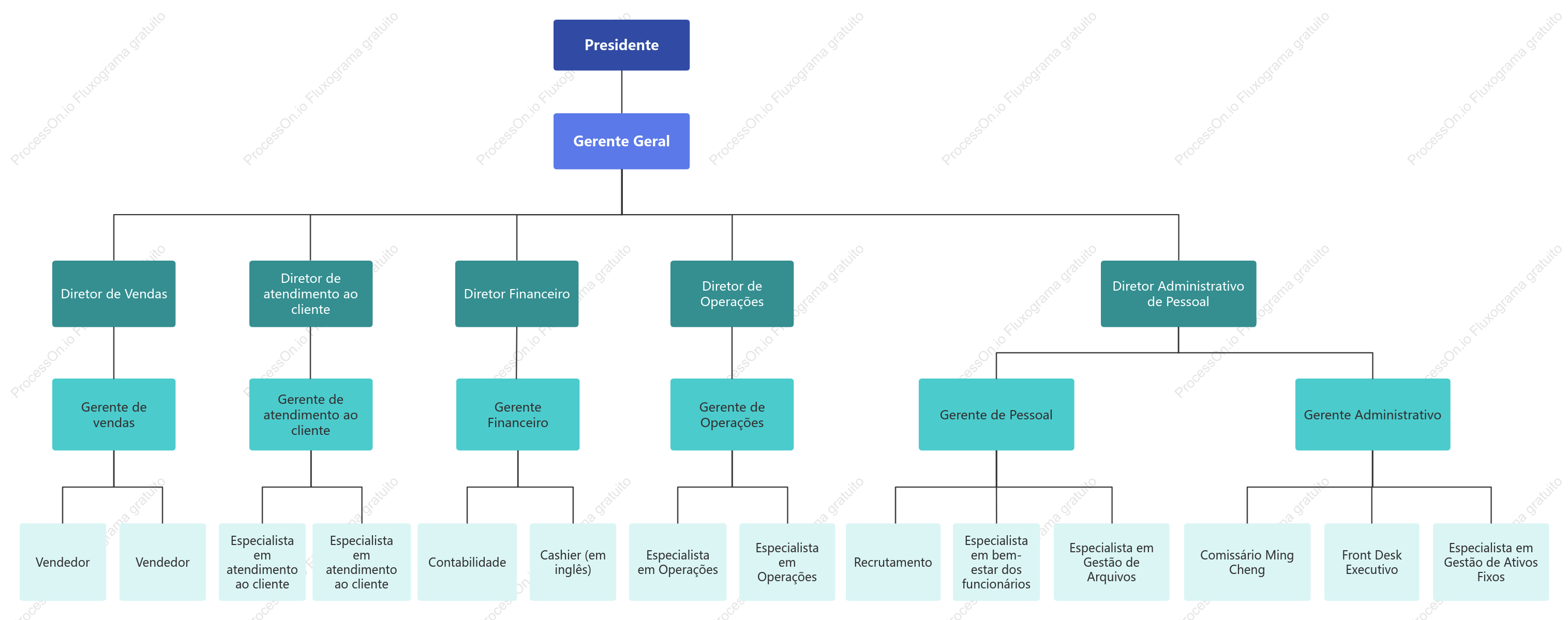 Organograma Funcional