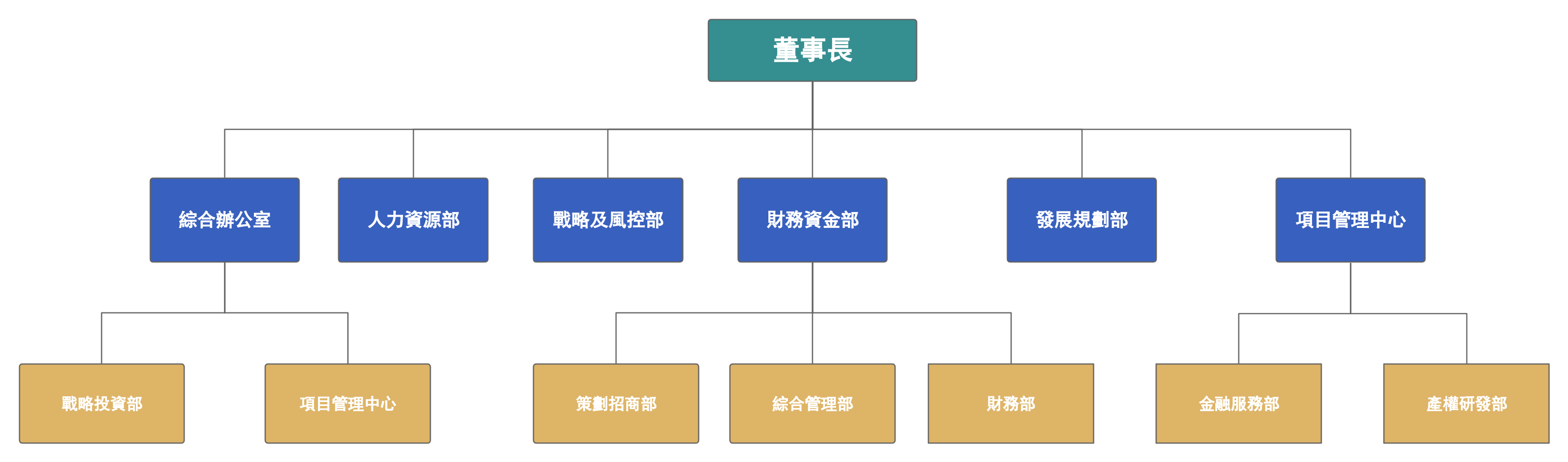 企業組織架構-職能型組織