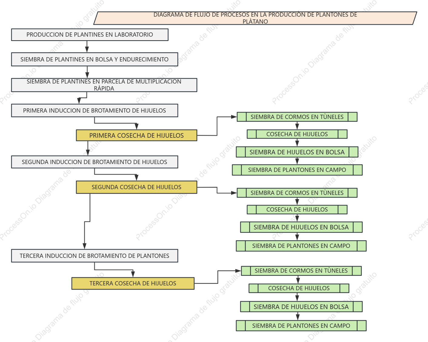 DIAGRAMA DE FRLUJO DE PROCESOS EN LA PRODUCCION DE PLANTONES DE PLÀTANO