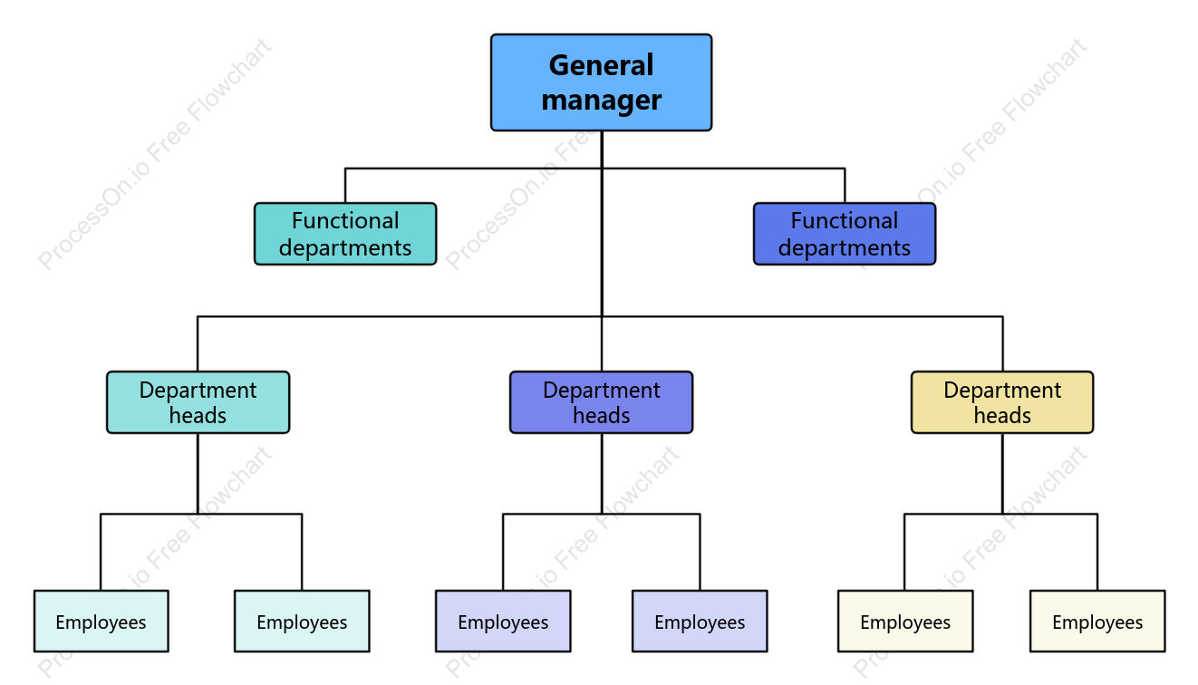 Line-functional organizational chart