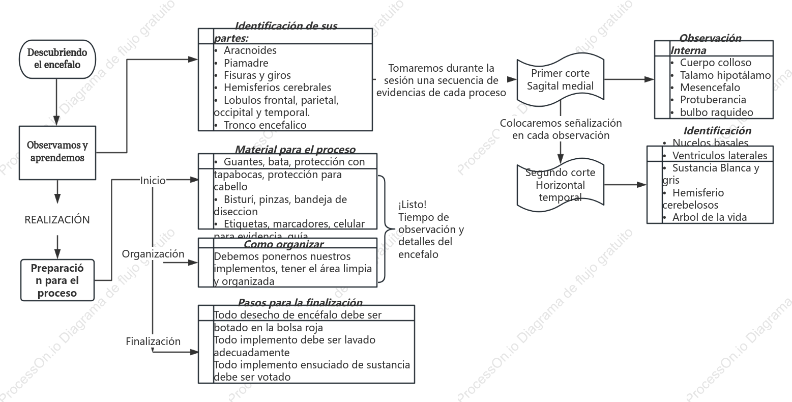 Descubrimiento del encéfalo