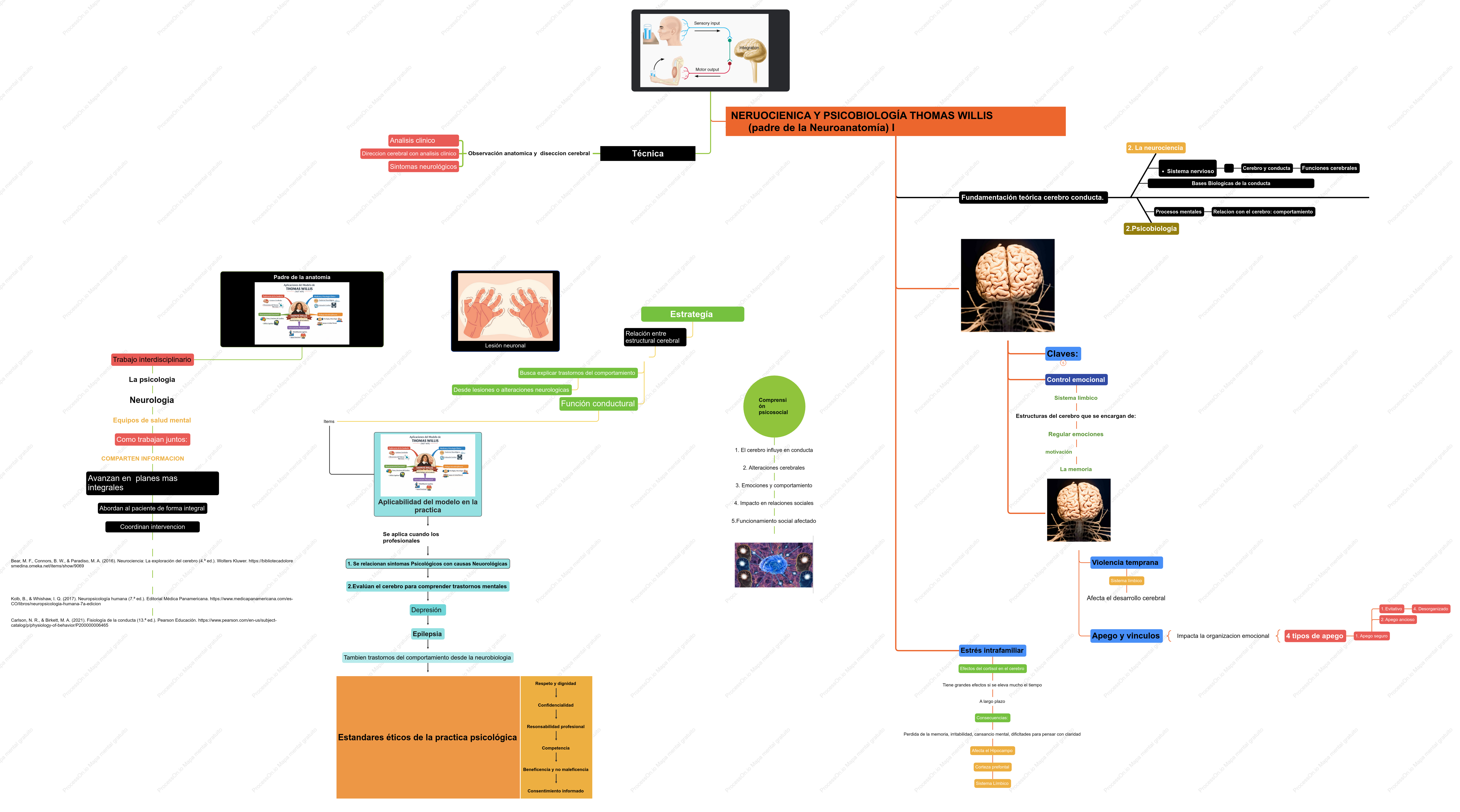 Neuropsicologia y Psicobiología