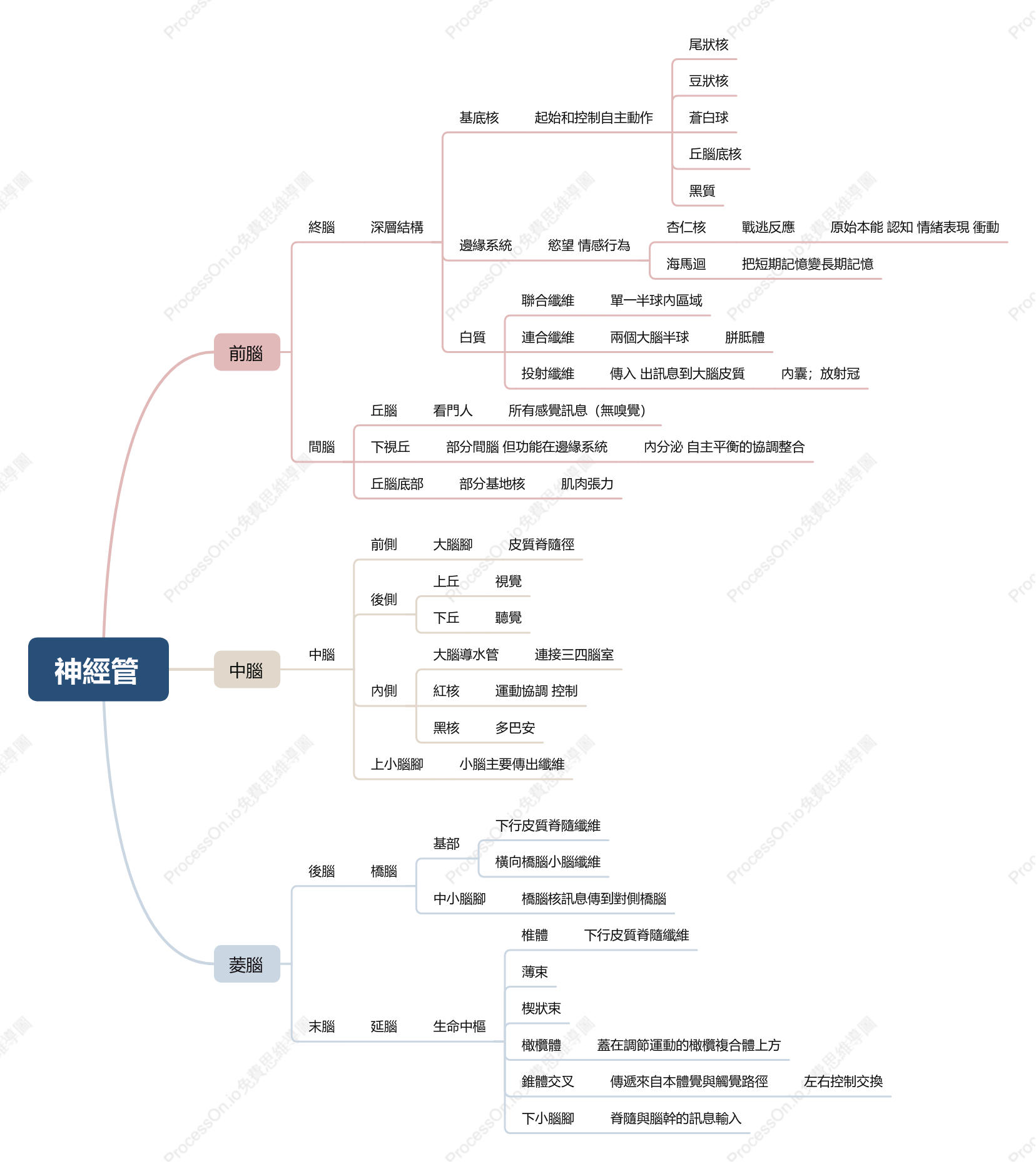 神經管知識框架