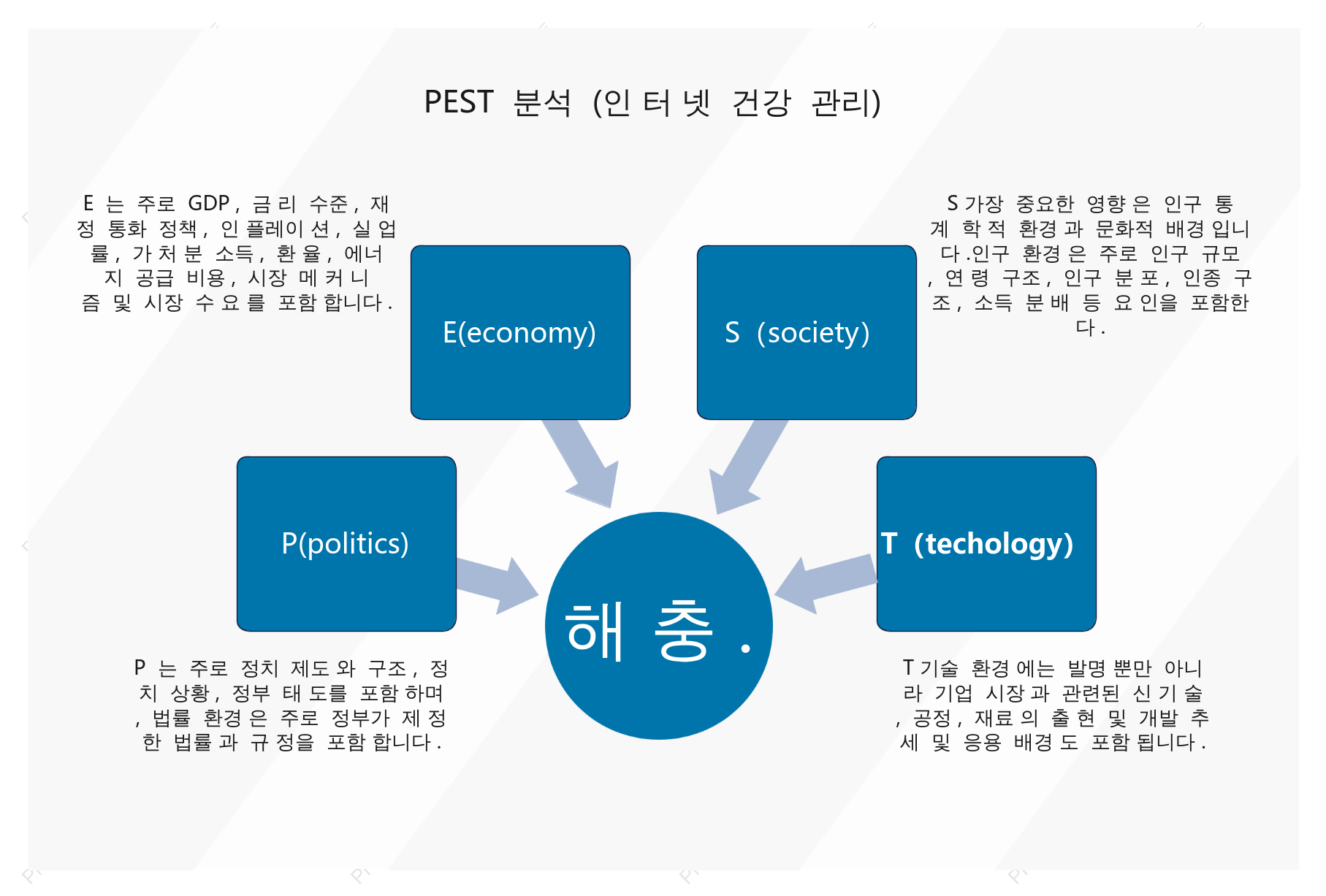 인터넷 헬스케어 PEST 분석