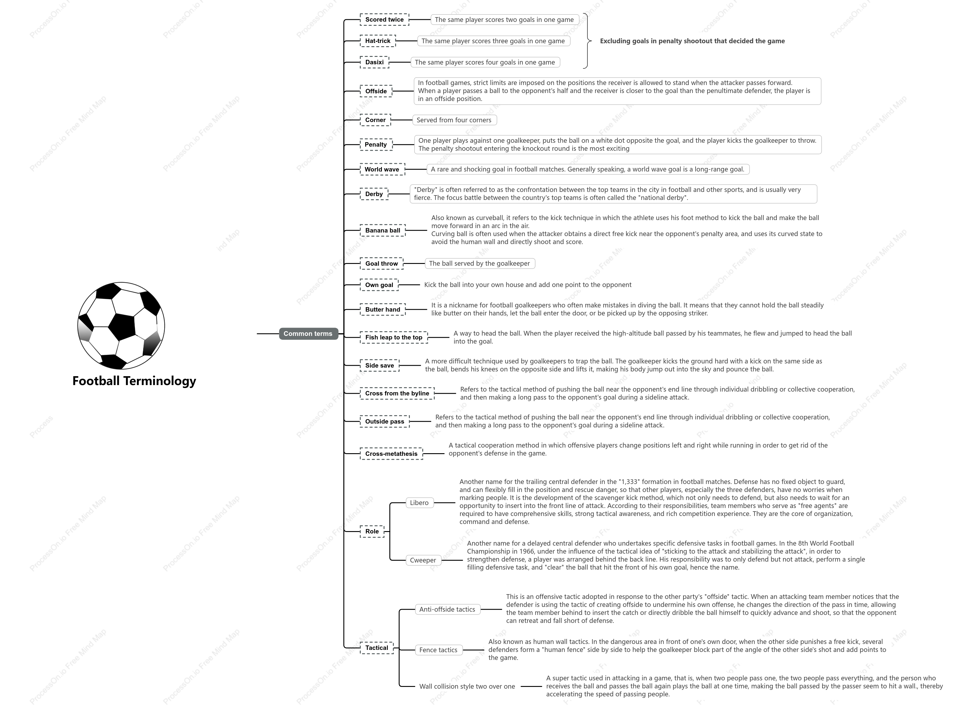 Football Terminology