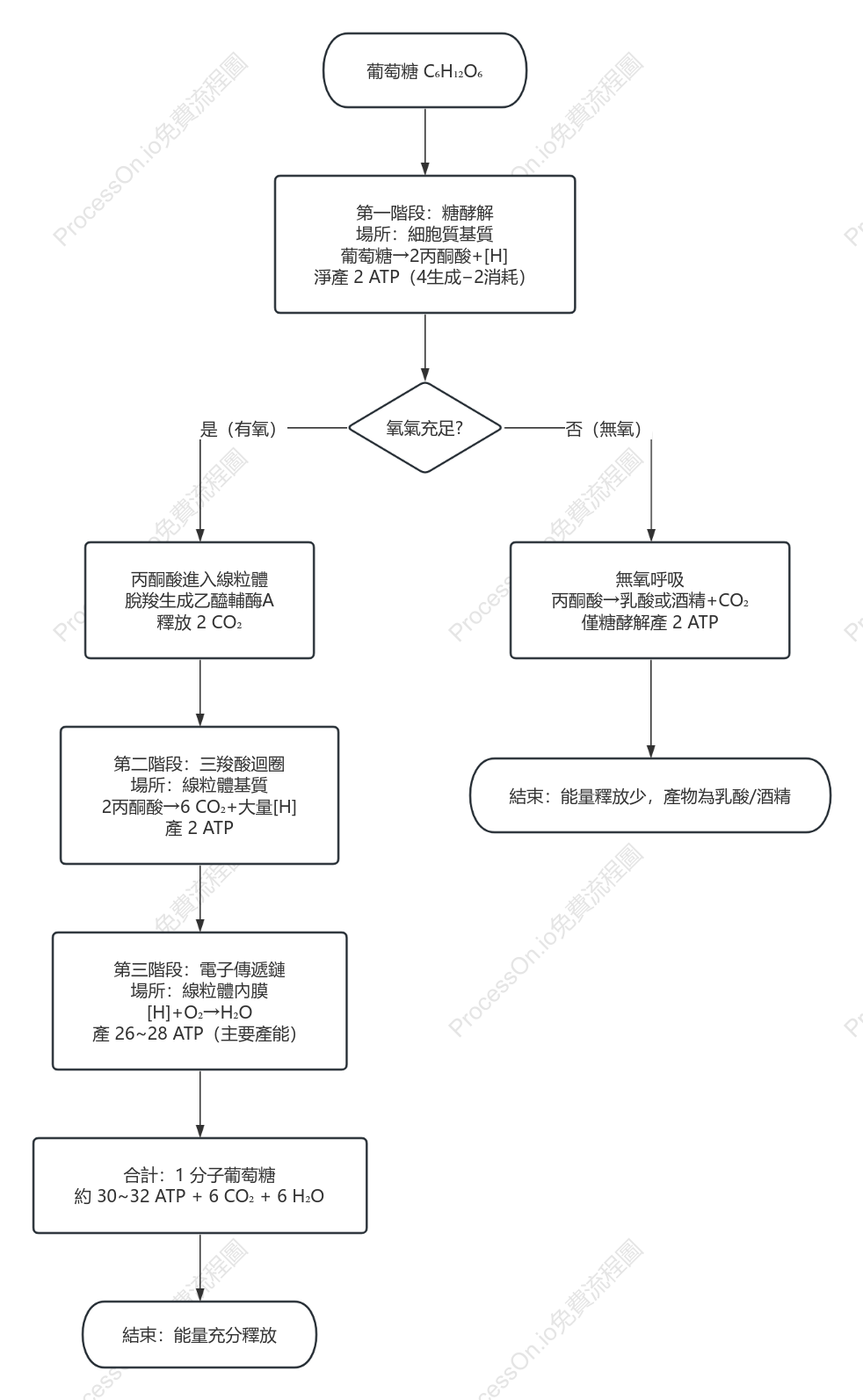 細胞呼吸三階段流程圖