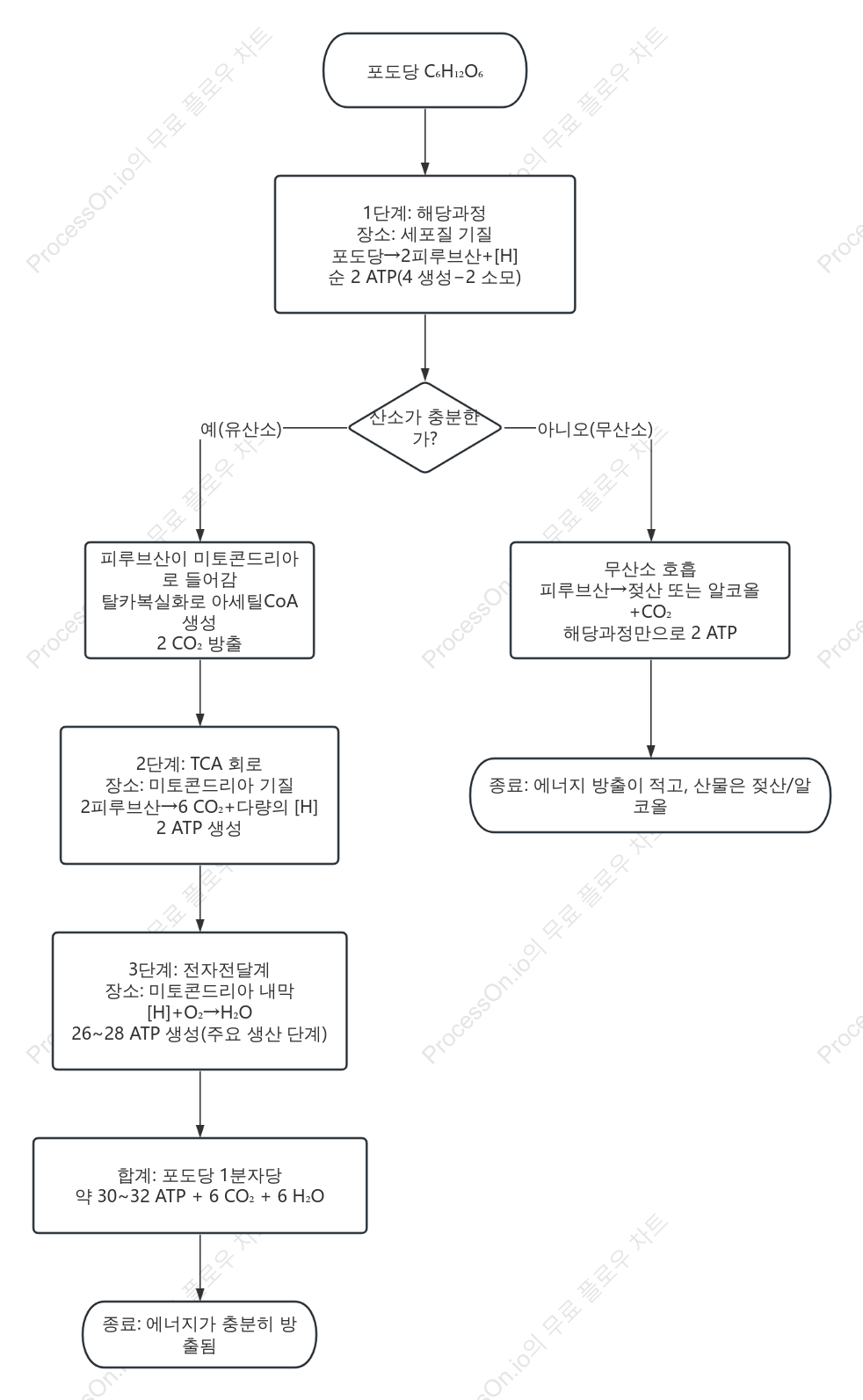 세포호흡 3단계 흐름도